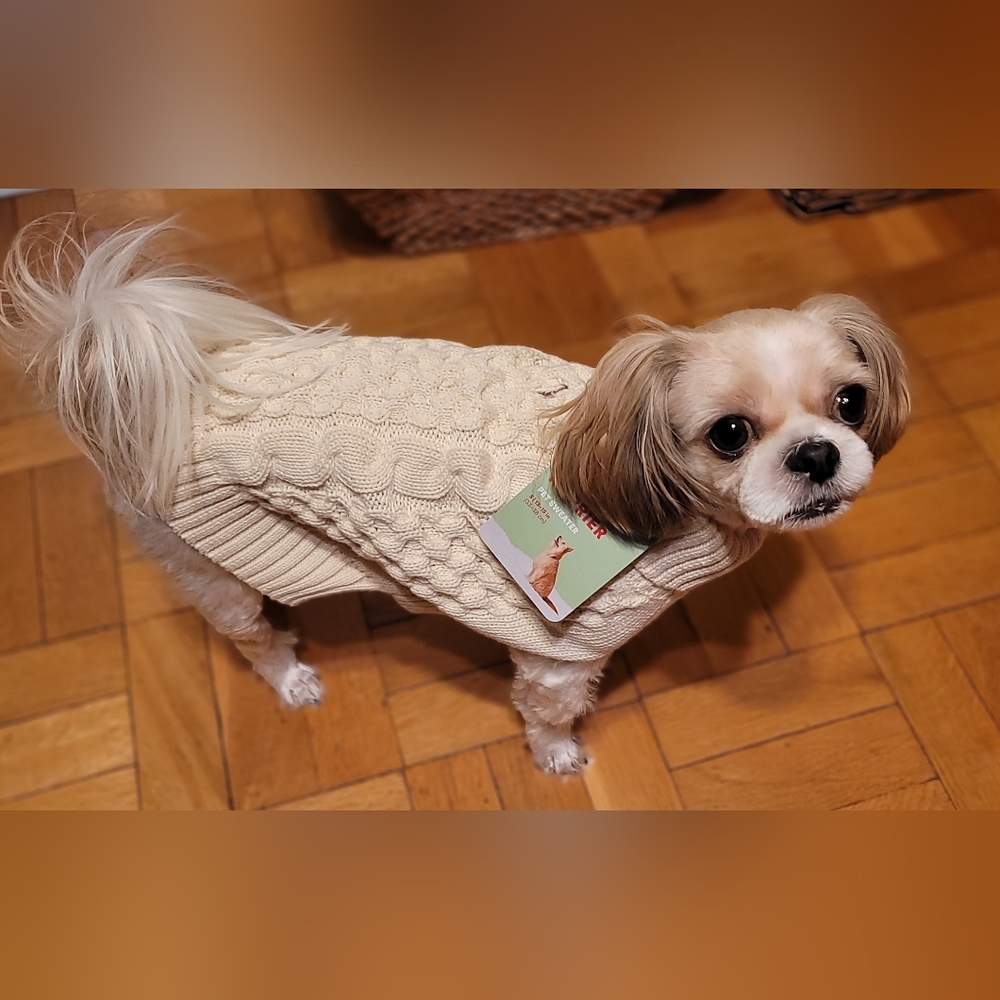More & Merrier pet sweater